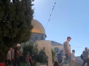 المستوطنون يدنسون الاقصى