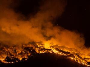 Massive forest fires in southern Turkey kill 8