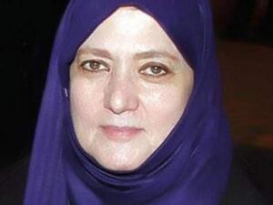شمس البارودي