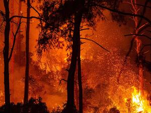 Raging fires in Turkey