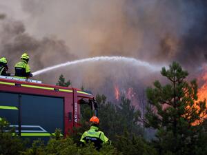 forest fires continue to rage across the wold