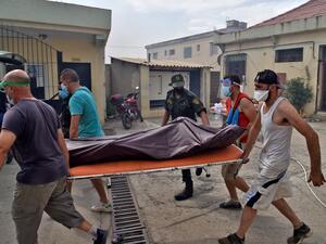 forest fires continue in Algeria