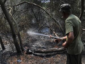 Fires destroyed 450 hectares of Tunisia