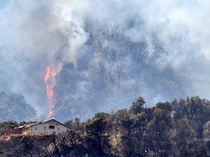 Forest fires killed at least 65 people killed, including 28 soldiers.
