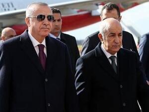 تبون واردوغان