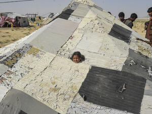 Comprehensive Refugee Resettlement Program Urgently Needed