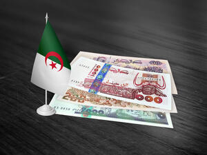 تهدف خطة العمل، التي سيناقشها البرلمان، أيضاً إلى تطوير قطاع الزراعة للمساعدة في خفض الإنفاق على واردات الغذاء