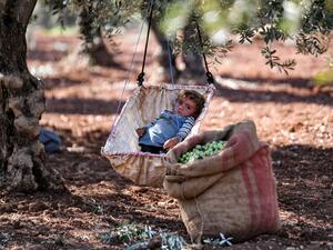 COVID-19 pandemic has undermined the Middle East's food security progress