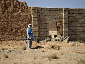 UN special envoy for Afghanistan has warned that members of the Takfiri Daesh terrorist group.