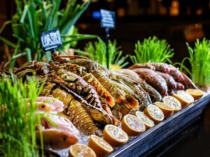 Hyatt Regency Oryx Doha To Celebrate Thanksgiving in Style With an Array of Offers