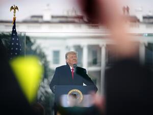 Trump flew seven times on Jeffrey Epstein's private Lolita Express jet