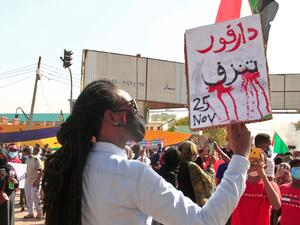 248 killed in Sudan's western Darfur tribal clashes