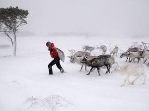 Snowy Scotland 