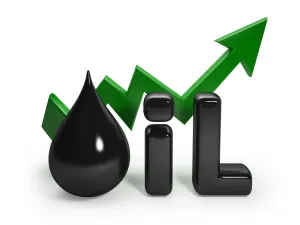 النفط يرتفع بأكثر 2% قبيل اجتماع لـ"أوبك"