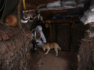 Ukrainian Military Forces