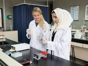 Abu Dhabi University Signs Mou With Iirsm To Advance Research And Raise Awareness Of Risk And Safety In The Uae