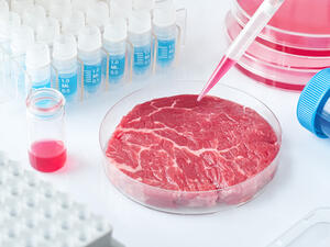 is lab-grown meat halal?