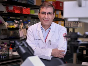 التحليلات الجينية المتعلقة بمرض السرطان في منطقة الشرق الأوسط تمهد الطريق نحو برنامج الوقاية الدقيقة