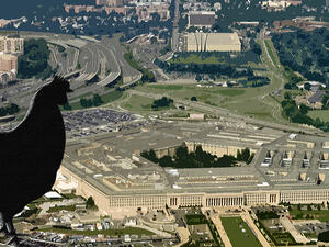 The chicken was called Henny Penny because it is one of the names given to the chicken at the center of a well-known folk tale. (Al-Bawaba/ Sally Shakkour) The chicken tried to enter the Pentagon