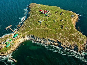 جزيرة "زمييني" (الثعبان)