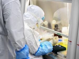 تطوير أسلحة بيولوجية