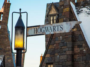 Harry Potter video game