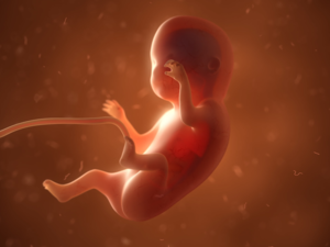 الأسبوع التاسع من الحمل