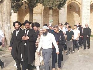 مجموعات المستوطنين تقتحم المسجد الأقصى على شكل مجموعات متتالية