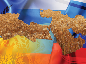 MENA Countries Food Crisis