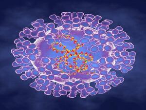 جدري القردة يواصل انتشاره عالميا ويصل فنلندا