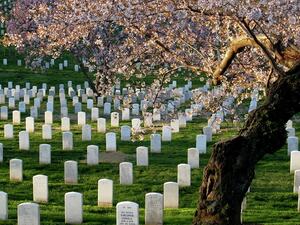 اعتداء على مقبرة تضم رفات مسلمين وأرثوذوكس بالسويد