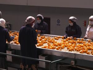 CNN’s Connecting Africa explores the food industry in Egypt