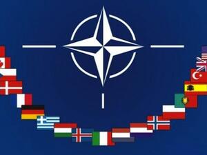 الناتو"