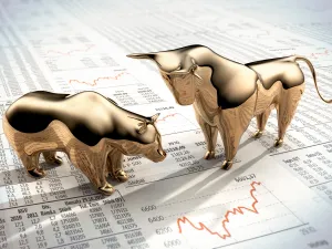 bear market bull market