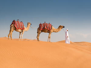 Cattle herders