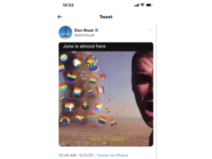 Elon Musk Pride Month