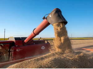 How do you get the wheat out of Ukraine?