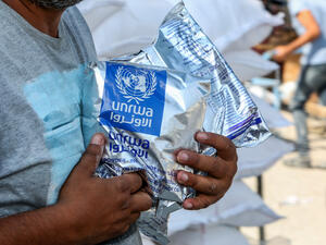 UNRWA. (Shutterstock/ File Photo) Palestine Refugees