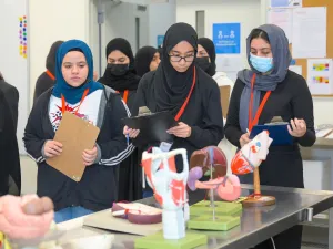 High School Students Scout Careers in Medicine Through WCM-Q’s Summer Programs