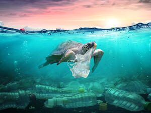 plastic waste