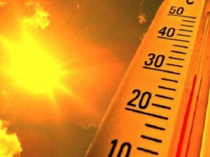 موجات حر تضرب العديد من دول العالم