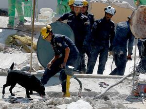 Jordanian rescue teams use a dog as they search for 10 people still missing under the rubble of a collapsed four-storey building in the capital Amman on September 14, 2022. (Photo by Khalil MAZRAAWI / AFP) rescue teams