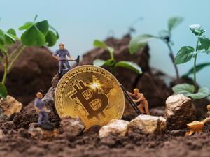 8 Eco-Friendly Crypto Companies Actively Making a Difference