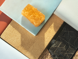 On the Market for 2023: BMW and Mini Models With Vegan Interiors.
