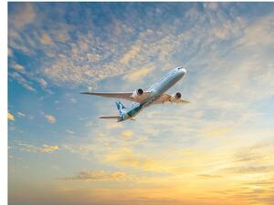 First Etihad Airways Flight Using Sustainable Aviation Fuel as Part of deal with ITOCHU and NESTE departs tokyo narita