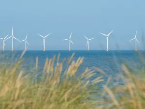 Mubadala invests in world’s largest private offshore wind energy developer