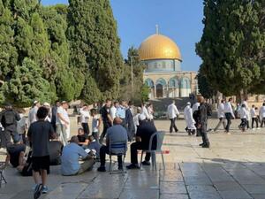 مئات المستوطنين يقتحمون ساحات المسجد الأقصى