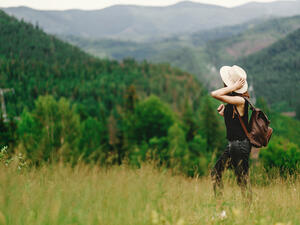 Into the wild 