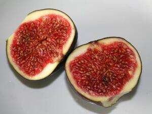 تفسير حلم أكل التين في المنام