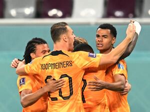 Netherlands' forward #08 Cody Gakpo (R) celebrates with teammates after scoring his team's first goal during the Qatar 2022 World Cup Group A football match between the Netherlands and Ecuador at the Khalifa International Stadium in Doha on November 25, 2022. (Photo by Raul ARBOLEDA / AFP)